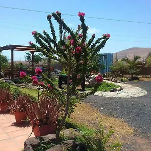 Casa di campagna Soleario, La Oliva